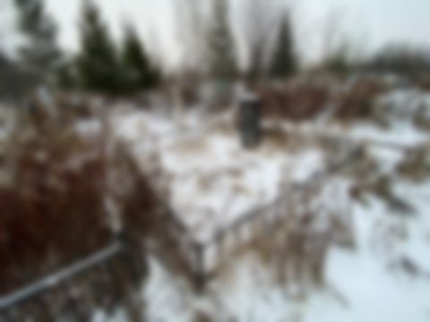 Бобрик Леонид Петрович