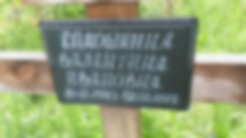 Ермошкина Валентина ивановна
