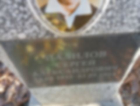 Палилов Сергей Александрович