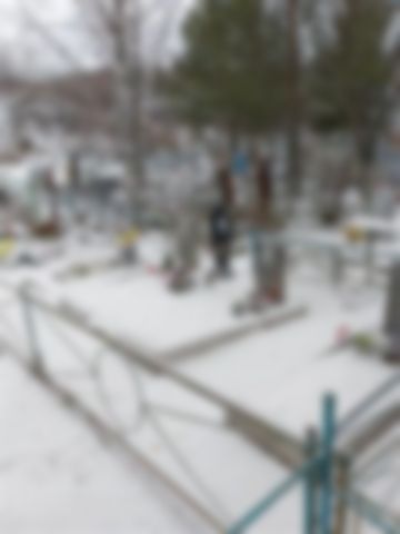Злыгостев Алексей Васильевич