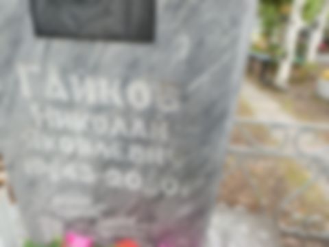 Гайков Николай Яковлевич