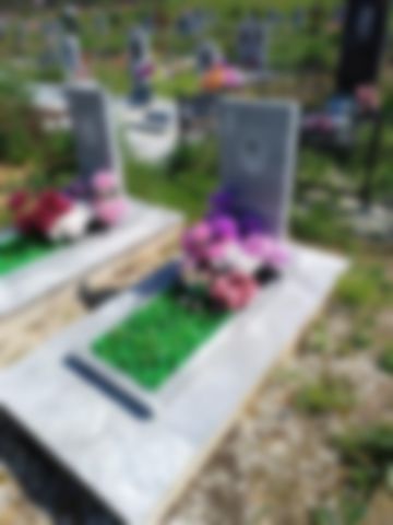 Мелешина Валентина Алексеевна