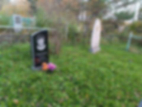Терешков Сергей Валерьевич