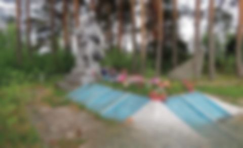 Волков Владимир Андреевич